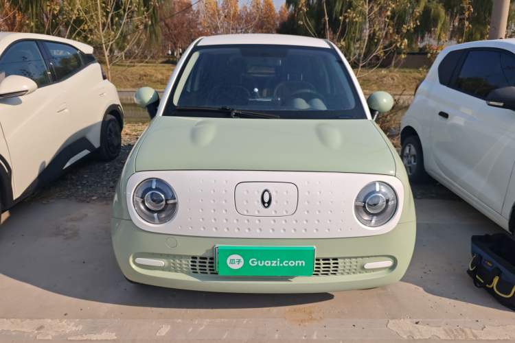 Used ORA Black Cat 2022 301km "Cute & Dynamic" Phosphate Iron Lithium
