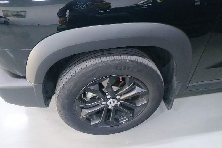 Used Haval DARGO 2022 1.5T DCT Two-Wheel Drive Border Collie Edition
