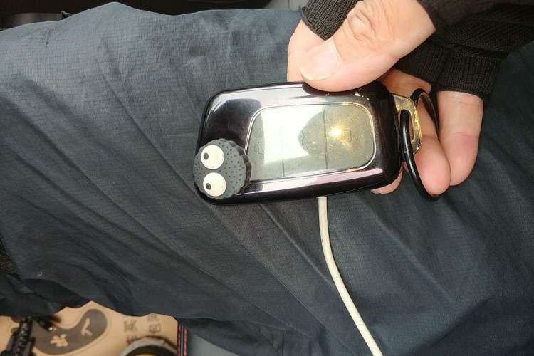 Used Chery QQ Little Ant 2023 251km True Love Edition Lithium Iron Phosphate Vehicle Key