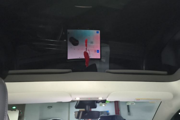 Used Tesla Model Y 2021 Standard Range Rear-Wheel Drive Version Headliner