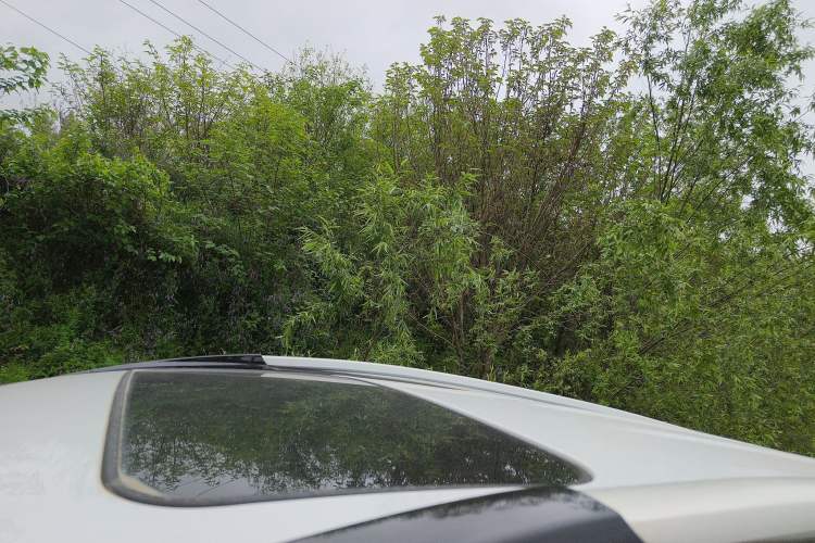 Used Haval H6 2018 Red-Label Sport Edition 1.5T Automatic Two-Wheel Drive Elite Model Roof