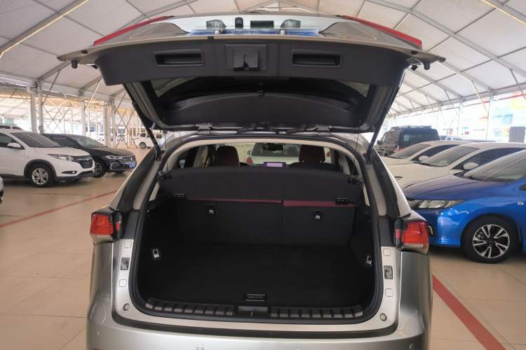 Used Lexus NX 2018 200 Front-Wheel-Drive Xingxing Edition China VI Standard