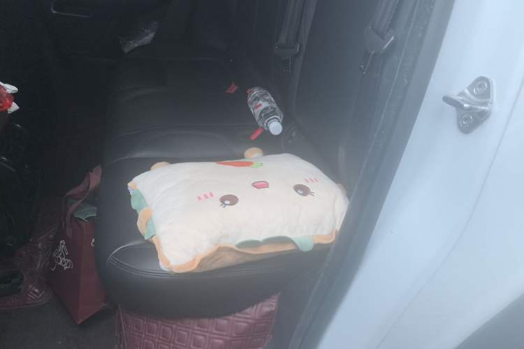 Used Jaguar E-PACE 2018 P200 China VI Left Rear Seat