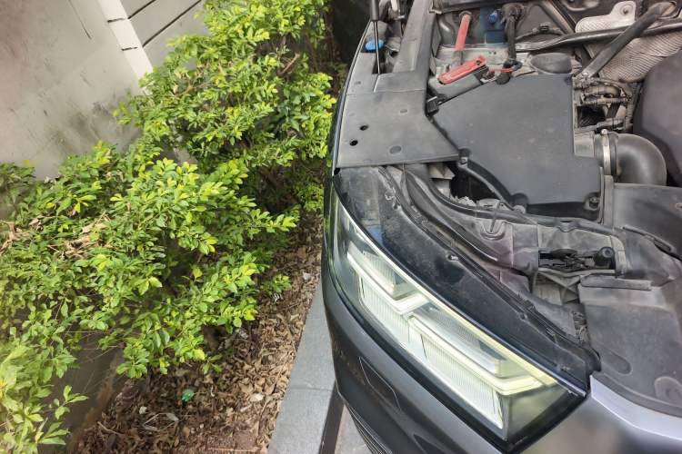 Used Audi Q5L 2020 40 TFSI Prestige Fashion Edition
