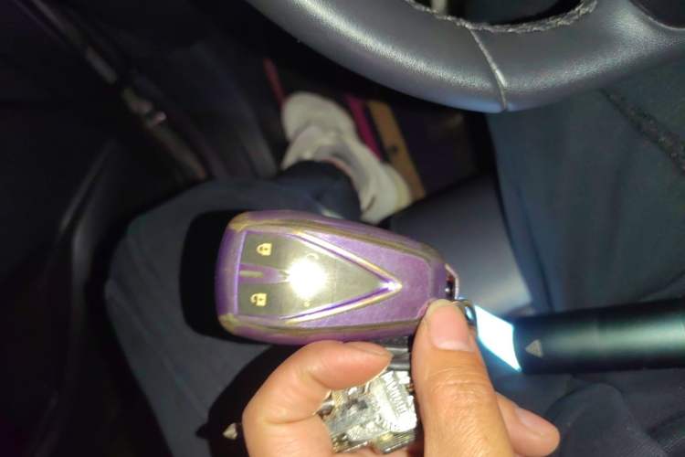 Used Changan Eado 2020 PLUS Blue Whale NE 1.4T GDI DCT Prestige Model
