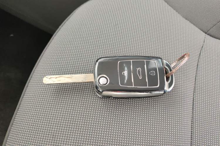 Used Qiyuan Lumin 2023 205km Xiangqin Version