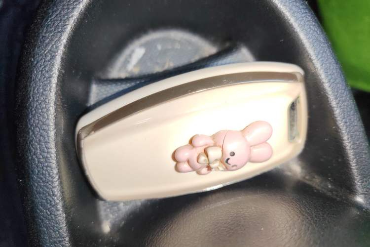 Used ORA Black Cat 2022 301km "Cute Pet" Version – Lithium Iron Phosphate Vehicle Key