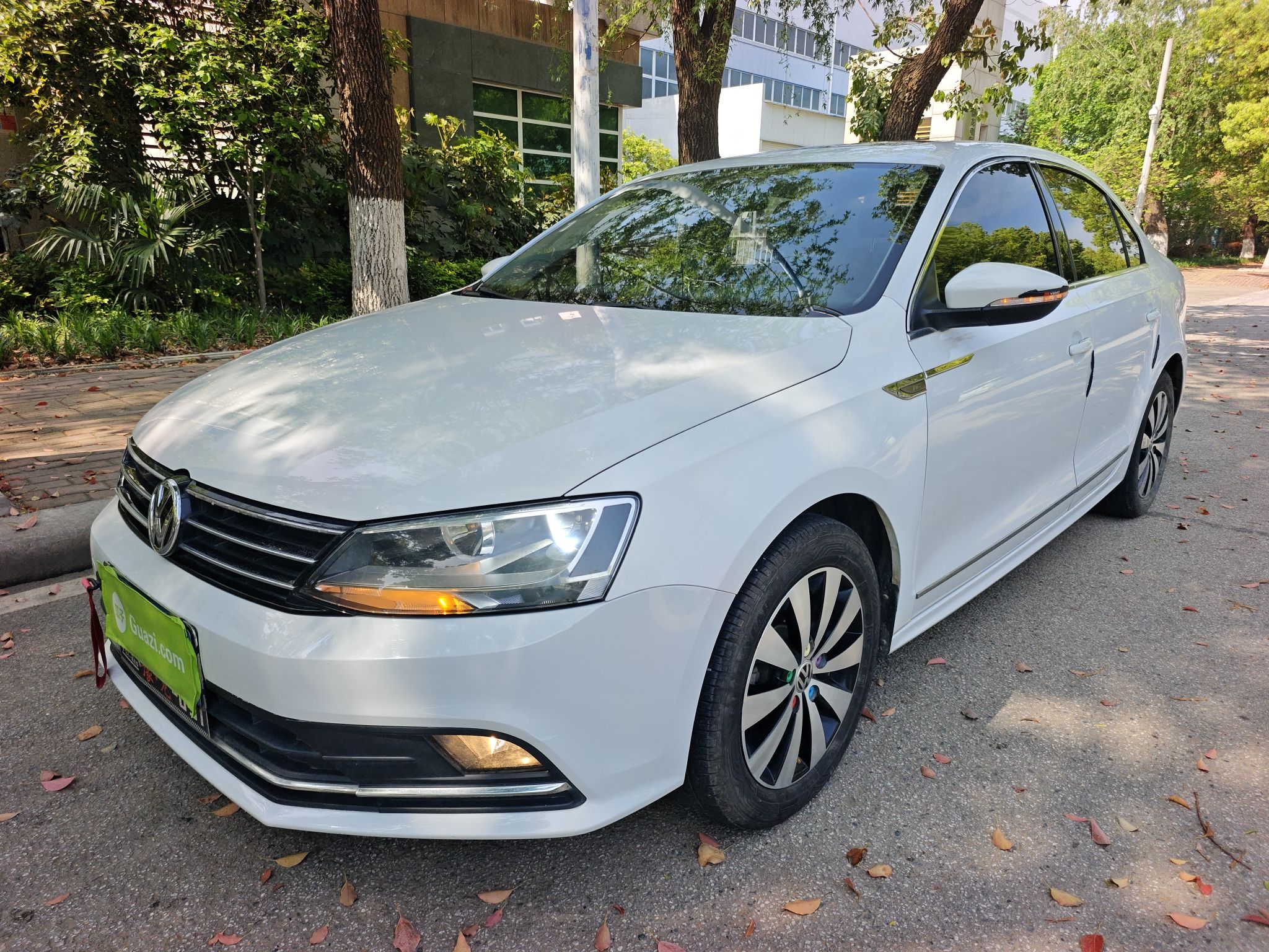 Parte inferior delantera