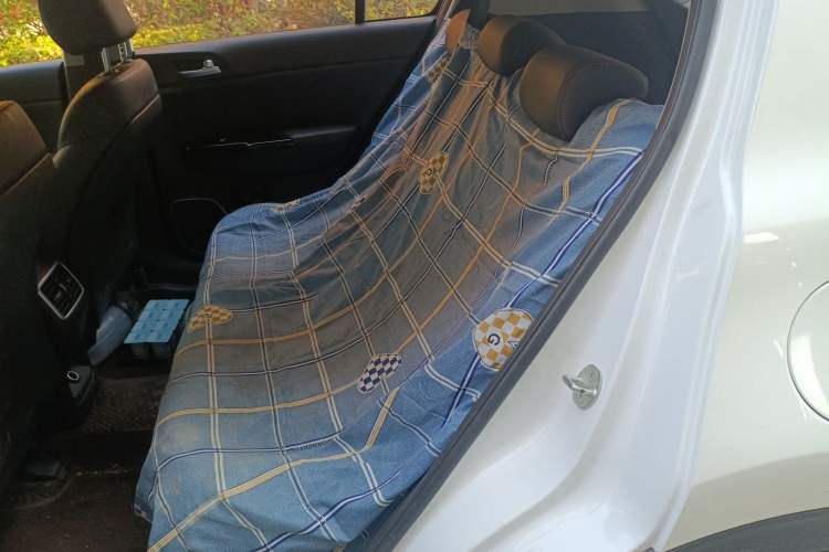 Used Kia KX5 2019 1.6T Automatic Two-Wheel Drive Luxury Edition Left Rear Seat