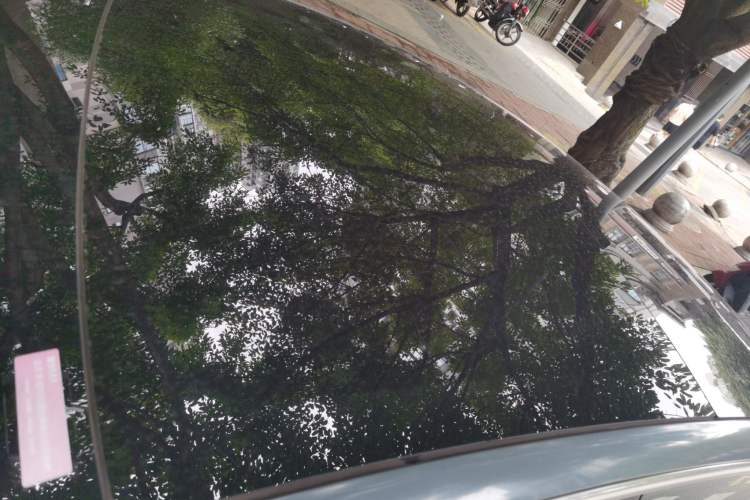 Used Tesla Model 3 (Import) 2019 Performance High-Performance All-Wheel-Drive Version