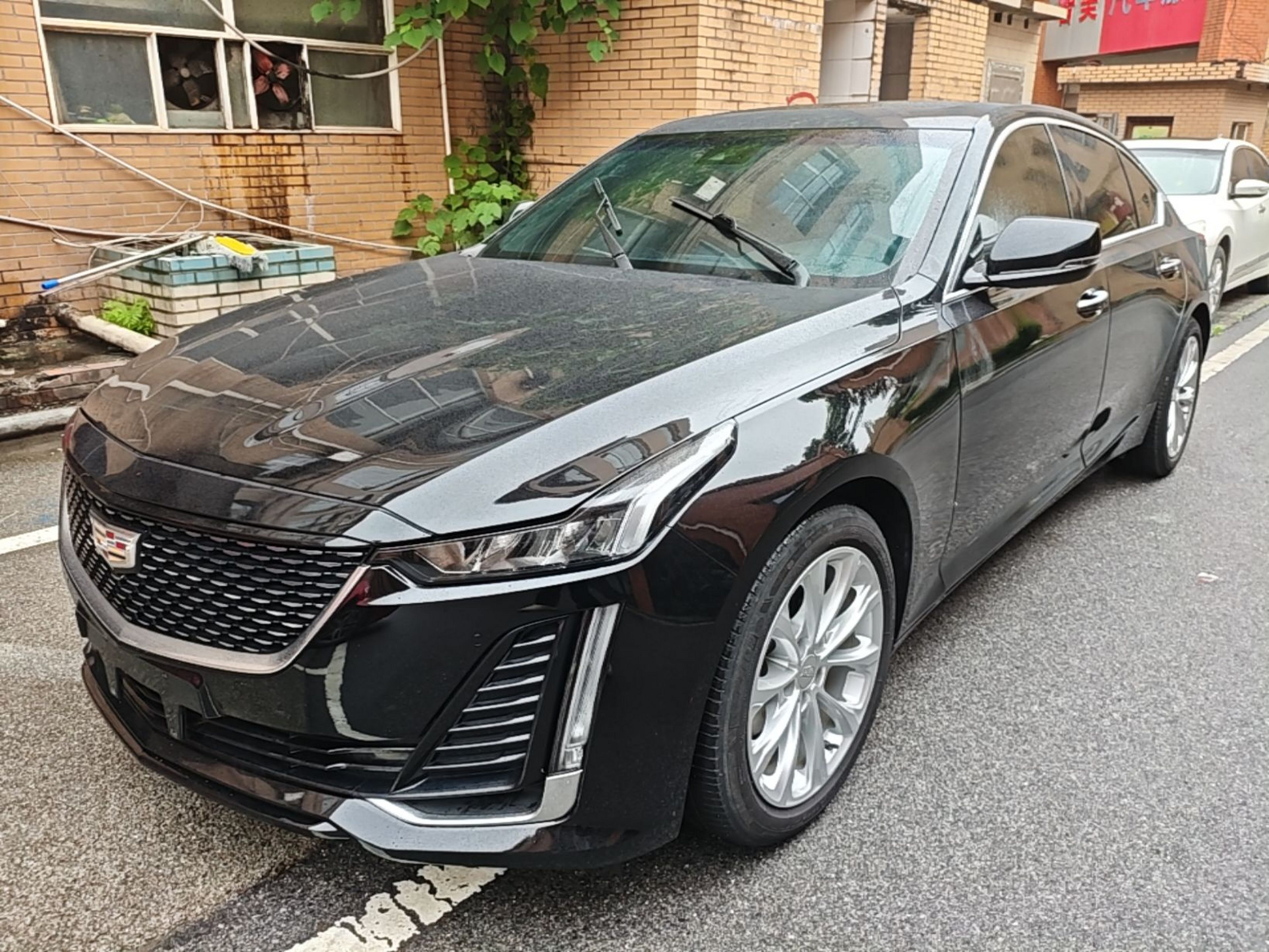 Under Front Bumper