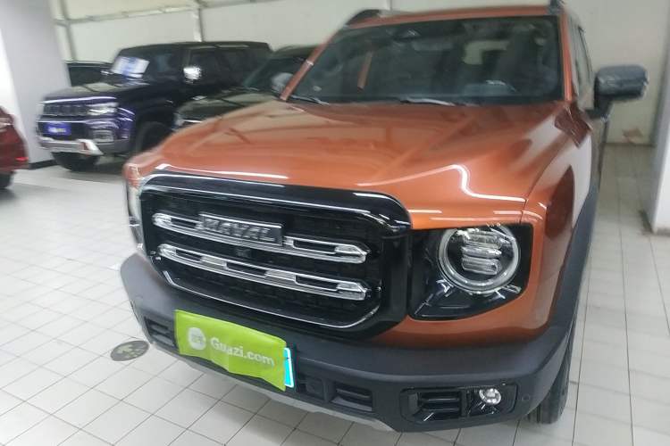 Used Haval DARGO 2021 2.0T DCT 4x4 Chinese Rural Dog Edition Front