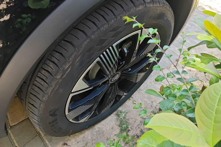 Used BYD Tang New Energy 2024 DM-i Glory Edition 112KM Flagship Model
