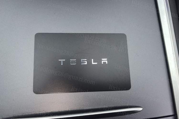 Used Tesla Model Y 2021 Standard Range Rear-Wheel Drive Version
