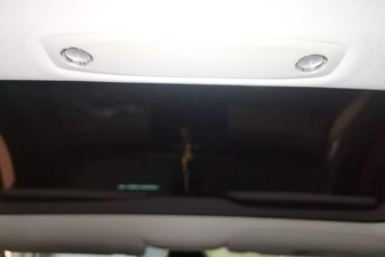 Used Tesla Model 3 2021 Revised Performance Version with All-Wheel Drive 3D1 Headliner