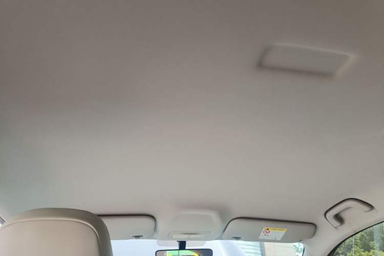 Used Geely Galaxy Geome 2025 310km Youth Edition Headliner