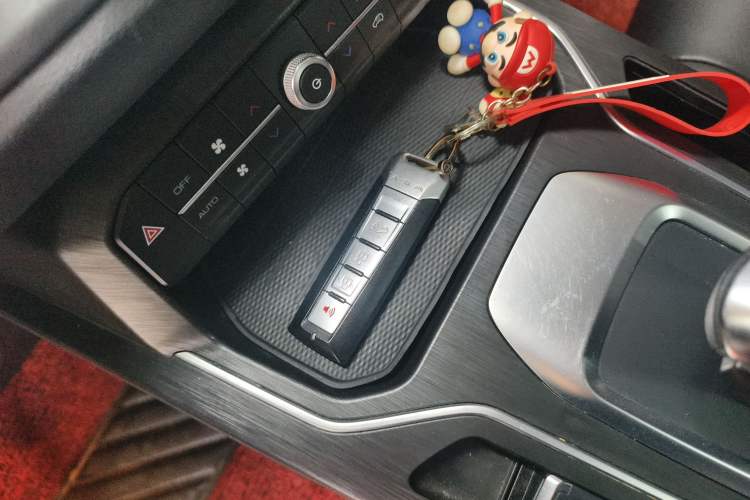 Used Wey VV5 2020 1.5T Two-Wheel Drive Color Pioneer