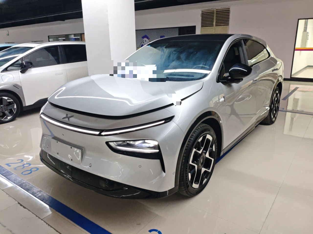 Parte inferior delantera