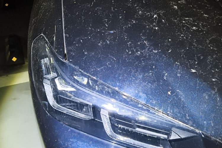 Used BMW X3 2023 xDrive30i Luxury Edition M Night Sky Package Right Front Headlight