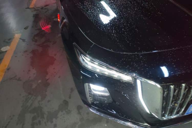 Used Hongqi H5 2025 2.0T Automatic Flag Edition – 500 000 Units Commemorative Version
