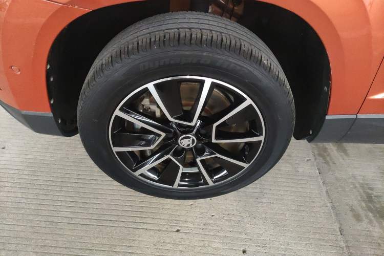 Used Skoda Karoq 2019 TSI280 Smart Drive Elite Edition China V Standard
