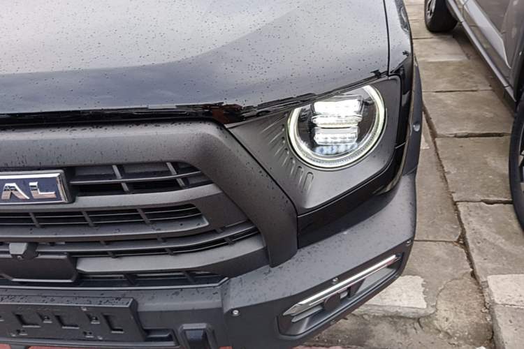 Used Haval DARGO 2024 2.0T DCT Chinese Rural Dog Edition
