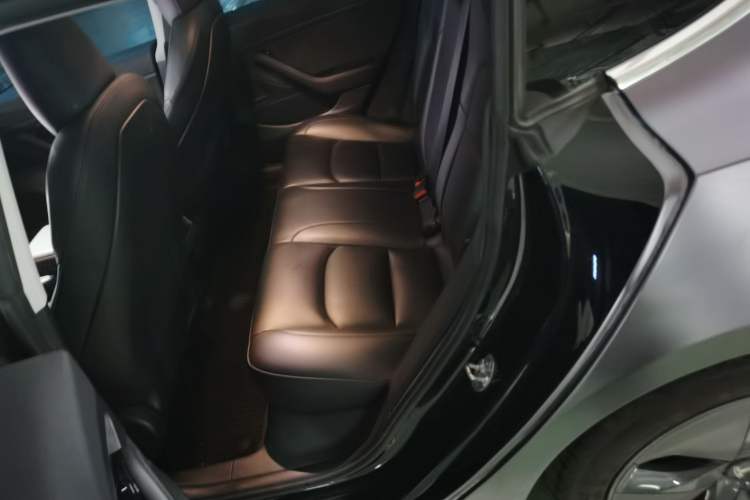 Used Tesla Model 3 2020 Standard Range Rear-Wheel Drive Upgraded Version