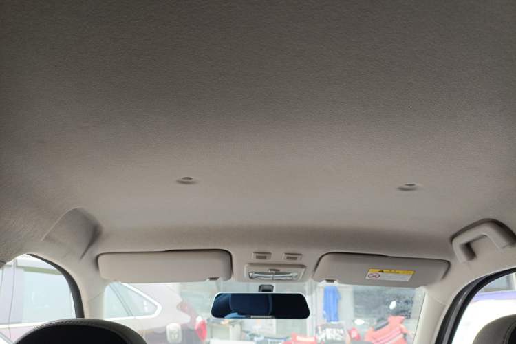 Used ORA Black Cat 2019 351 km Family Edition
