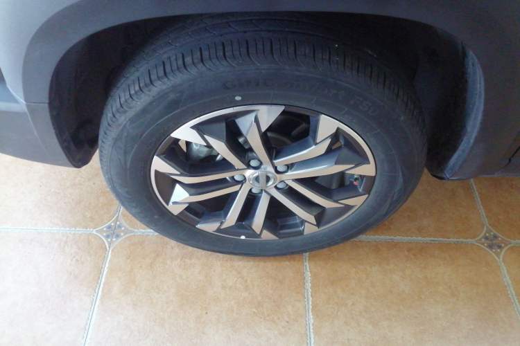 Used Haval DARGO 2022 1.5T DCT Two-Wheel Drive Border Collie Edition