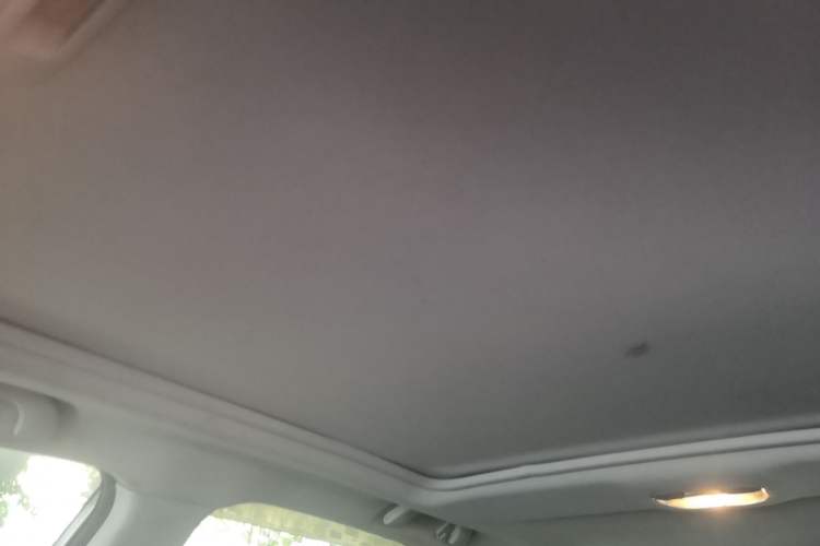 Used Subaru Forester 2015 2.0i Special Edition Commemorative Model Headliner