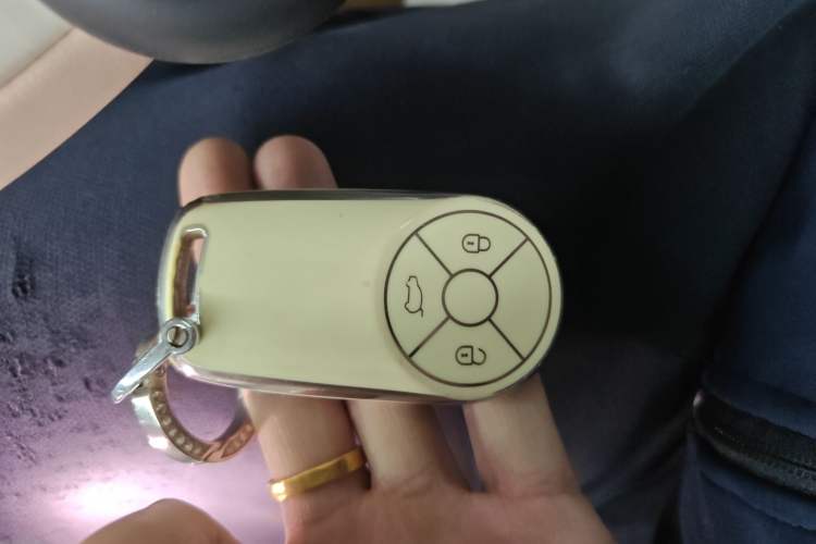 Used ORA Ballet Cat 2022 401 km Nutcracker Edition