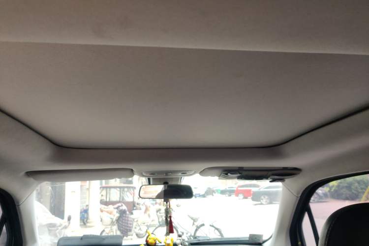 Used Leapmotor T03 2020 400 Luxury Edition Headliner