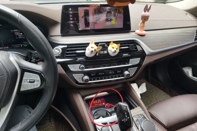 Used BMW 5 Series New Energy 2020 530Le Pioneer Edition
