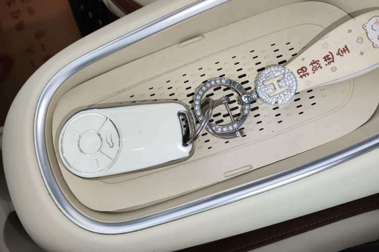 Used ORA Good Cat 2023 401 km Standard Range Premium Version Lithium Iron Phosphate