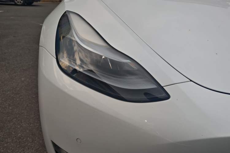 Used Tesla Model Y 2023 High-Performance All-Wheel-Drive Version