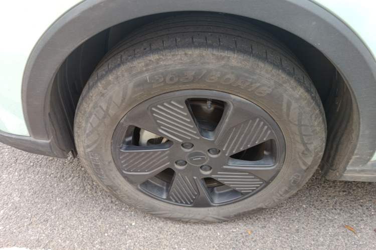 Used Geometry E Firefly 2022 401KM Lightning Tiger 4-Seater
