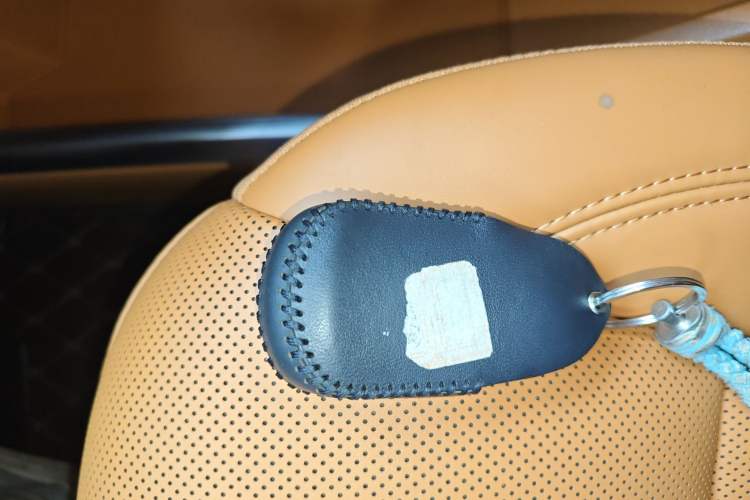 Used Wey Gaoshan 2023 Two-Wheel Drive Deluxe Edition
