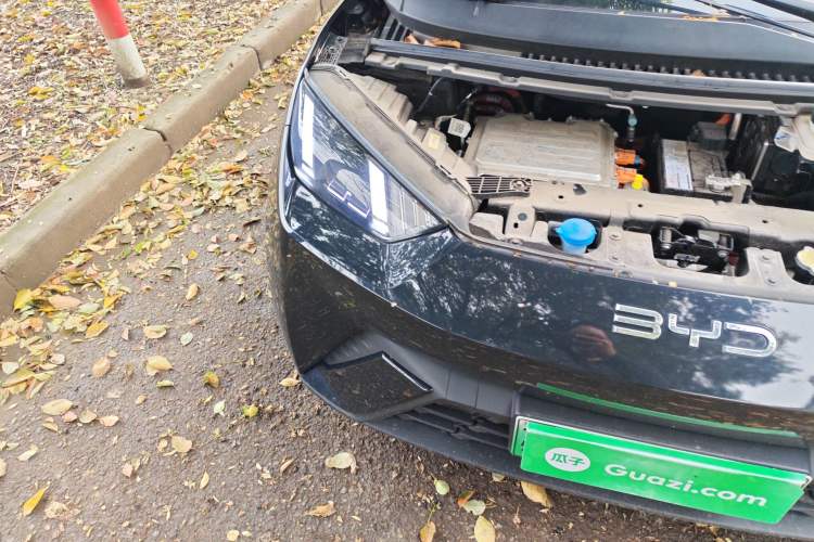 Used BYD Seagull 2024 Honor Edition 305km Freedom Version
