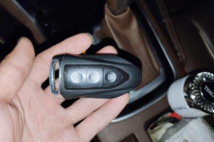 Used Leopaard CS10 2017 2.0T Automatic Urban Version