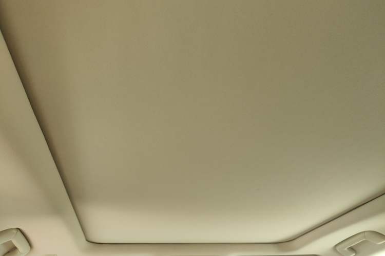 Used Lexus RX 2020 Facelifted 300 4x4 Elegant Edition Headliner