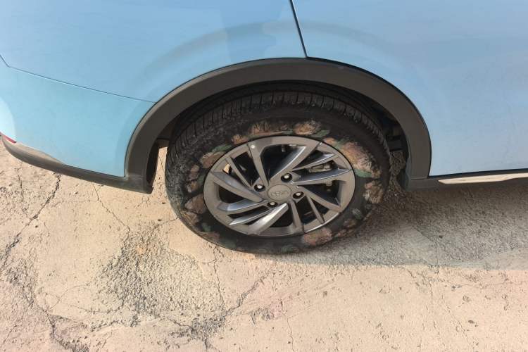 Used NETA AYA 2023 318 Lite
