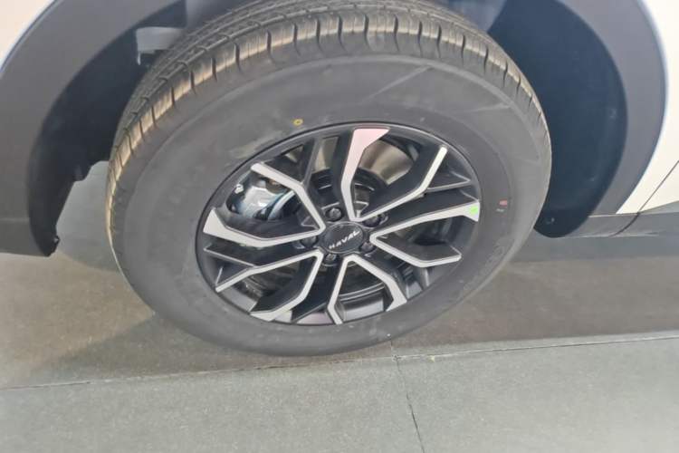 Used Haval H6 2025 1.5T National Style Urban Edition
