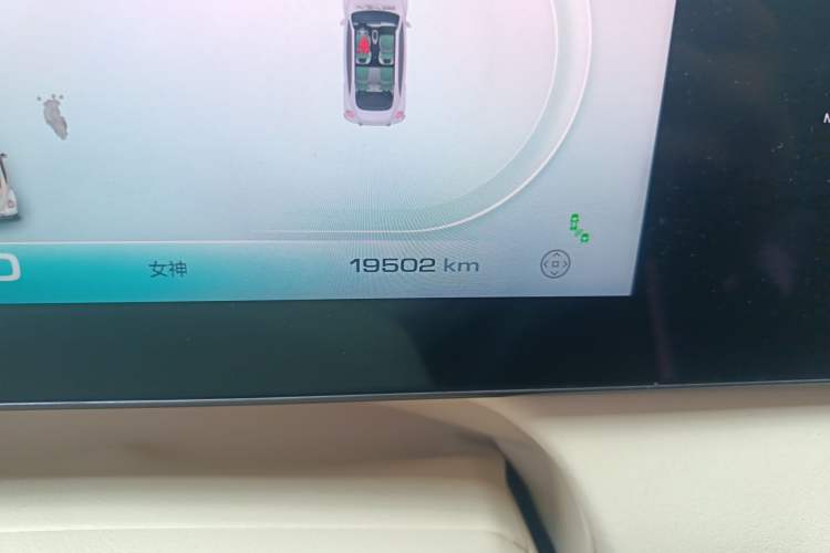 Used ORA Ballet Cat 2023 401 km Luxury Version Odometer Close Up