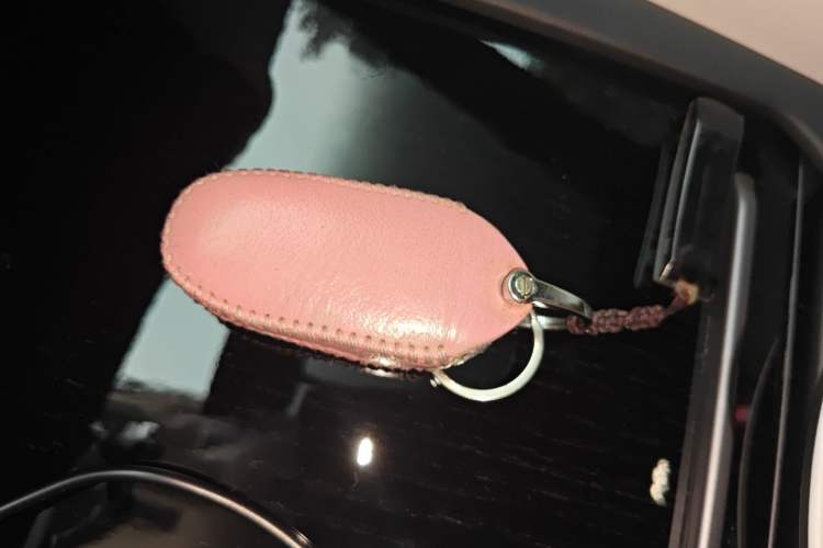 Used Tesla Model X 2017 X 100D Long Range Edition
