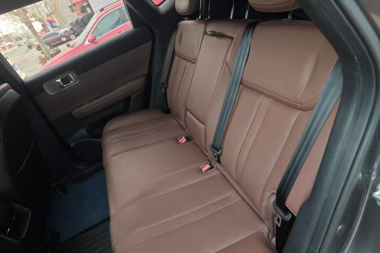 Used Wuling Xingguang S 2024 510km Flagship Edition Left Rear Seat