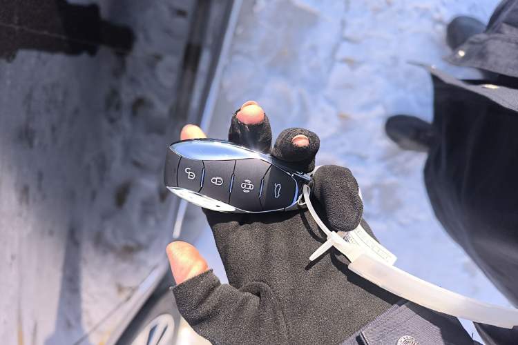 Used Hongqi HS7 PHEV 2025 Model 2.0T PHEV Four-Wheel Drive 2 Million Units Commemorative Edition 6-Seater