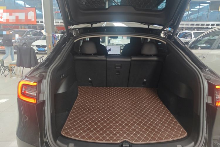 Used Tesla Model Y 2021 Standard Range Rear-Wheel Drive Version
