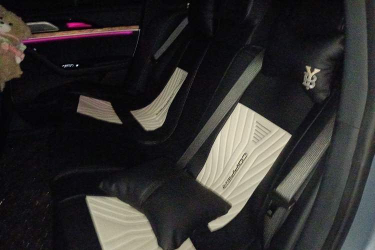 Used NETA S 2022 Extended-Range Version 1160 km Range Rear-Wheel-Drive Compact Edition Left Rear Seat