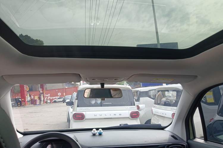 Used Leapmotor T03 2022 YAOJIN Edition Headliner