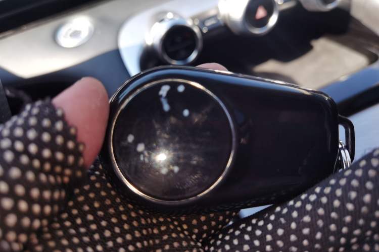 Used EXEED Lingyun 2025 300T Two-Wheel Drive Starry Edition
